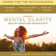 Load image into Gallery viewer, Synergy K2D3 COQ10 Vitamins &amp; Supplements Mother Nature Organics 