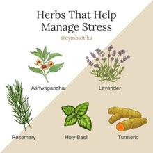 Load image into Gallery viewer, Mother Nature Organics Vitamins &amp; Supplements 2 oz Adrenal Super Tonic