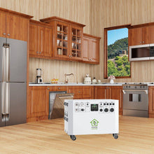 Load image into Gallery viewer, Nature&#39;s Generator Powerhouse Nature&#39;s Generator 