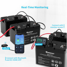 Load image into Gallery viewer, RENOGY 12V 100Ah Smart Lithium Iron Phosphate Battery Batteries Renogy 